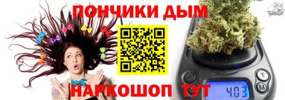 сатива Сланцы