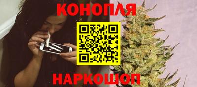 сатива Сланцы