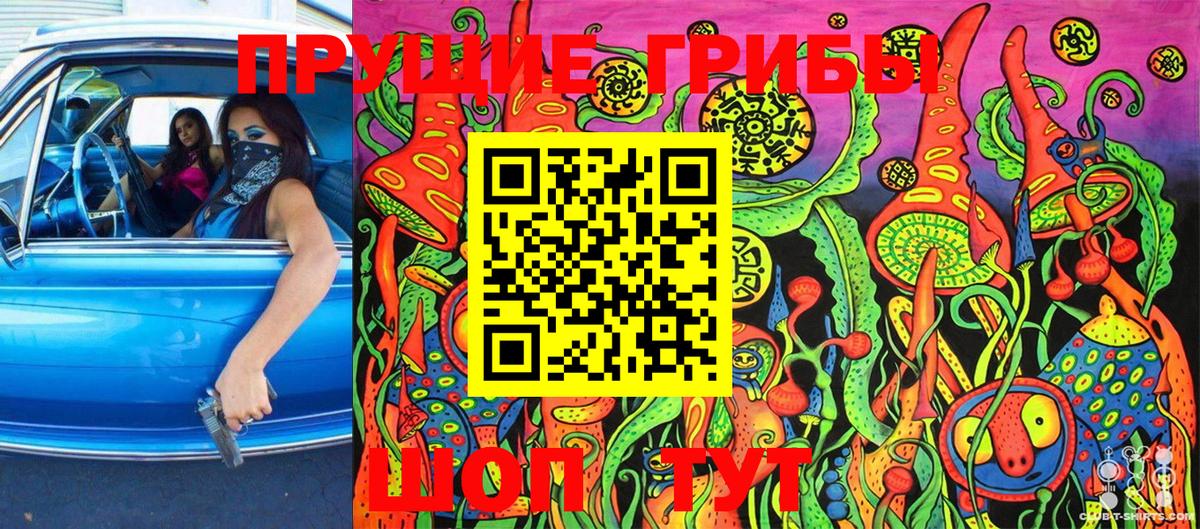 Псилоцибиновые грибы GOLDEN TEACHER Полевской